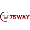 75waytechnologies